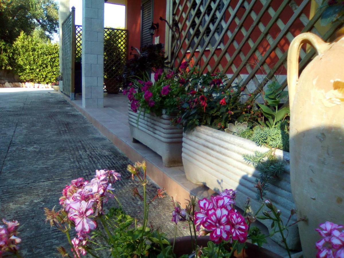 Casa te la Bradamante Bed & Breakfast Magliano Bagian luar foto