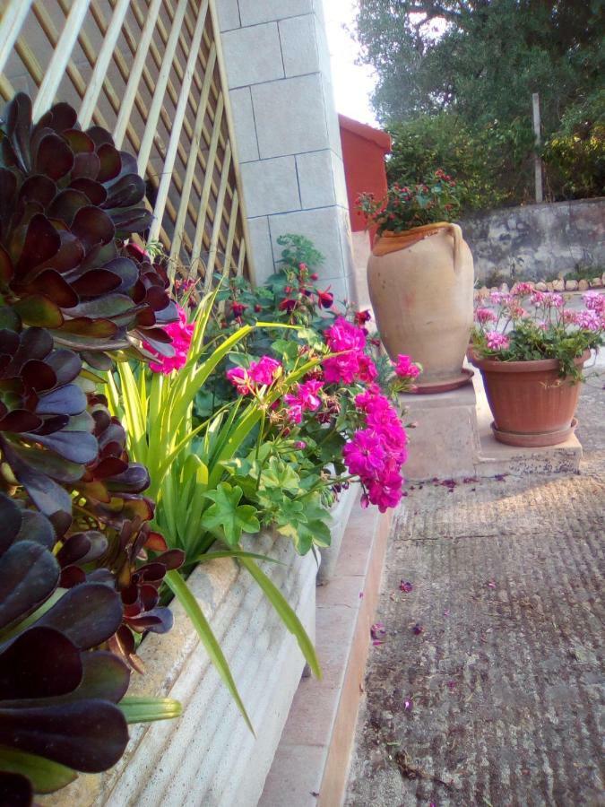 Casa te la Bradamante Bed & Breakfast Magliano Bagian luar foto