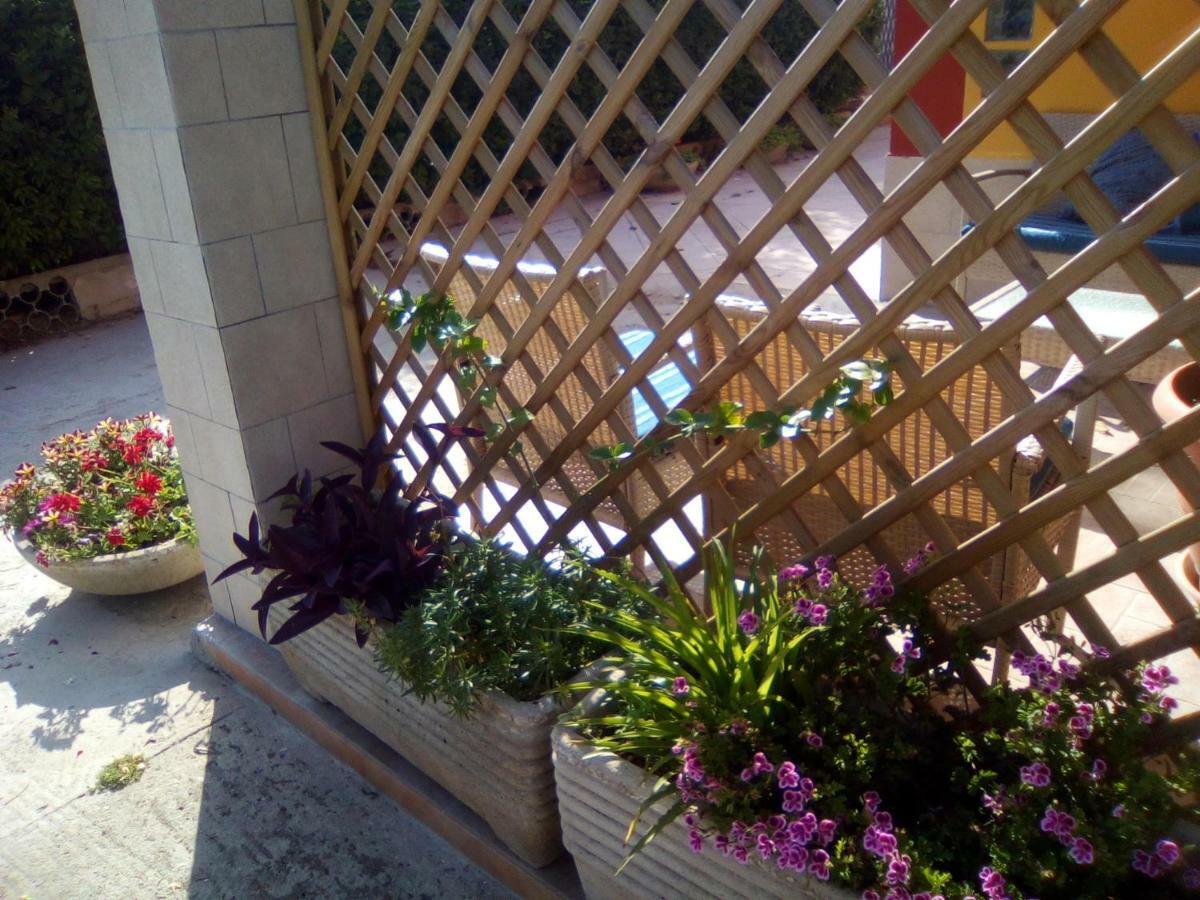 Casa te la Bradamante Bed & Breakfast Magliano Bagian luar foto