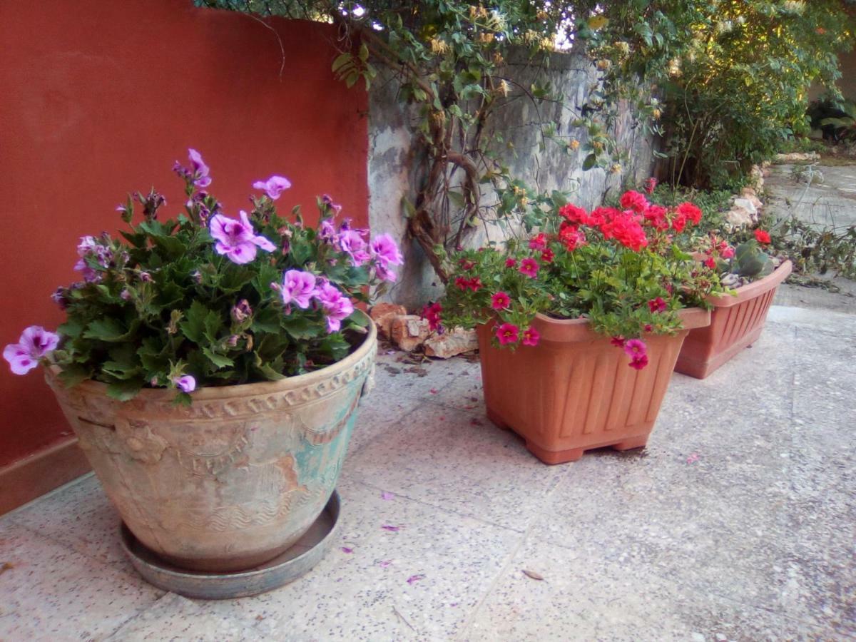 Casa te la Bradamante Bed & Breakfast Magliano Bagian luar foto